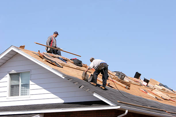 Best Roof Insulation Installation  in Hammond, LA